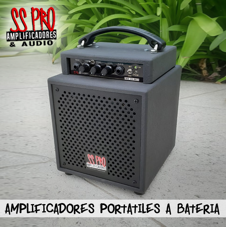 PUBLICACION PRO-20 BASS 1X6