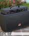 PRO-30R Acoustic 2x8"