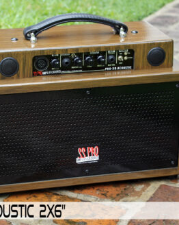 PRO-30 ACOUSTIC 1X6 LAQUEADO_1